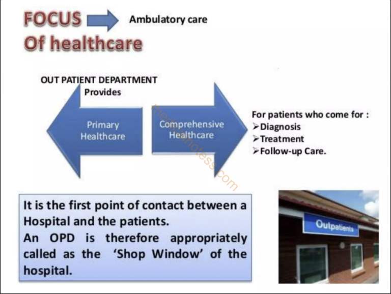 Screenshot 2024-09-29 at 7.02.02 PM