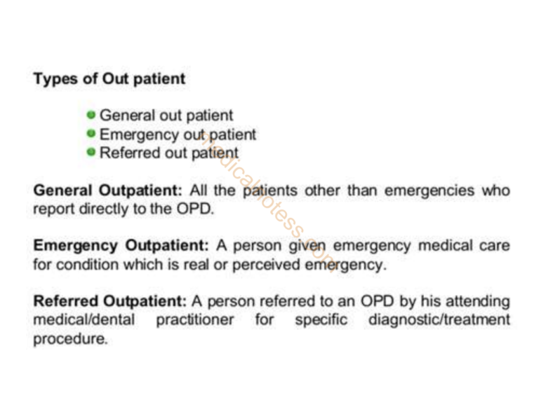 Screenshot 2024-09-29 at 7.02.36 PM